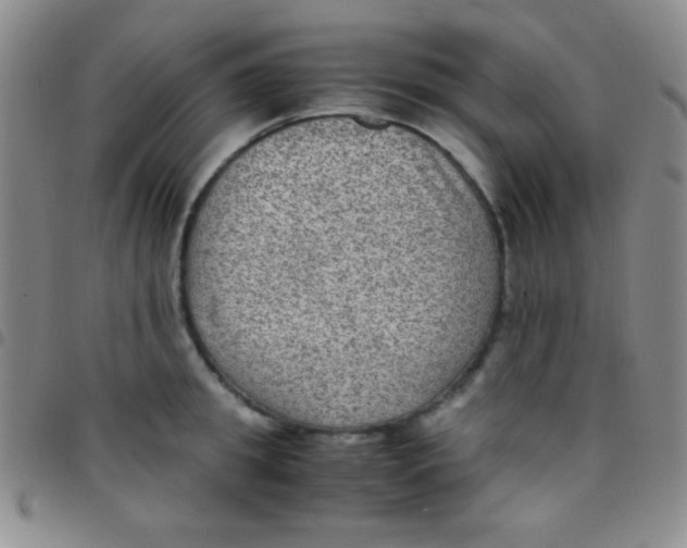 X0000097480949200803141932