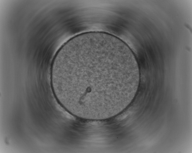 X0000097480950200803141932