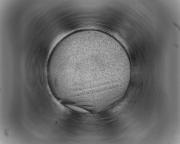 X0000097480951200803141932