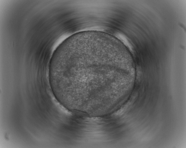 X0000097480952200803141932