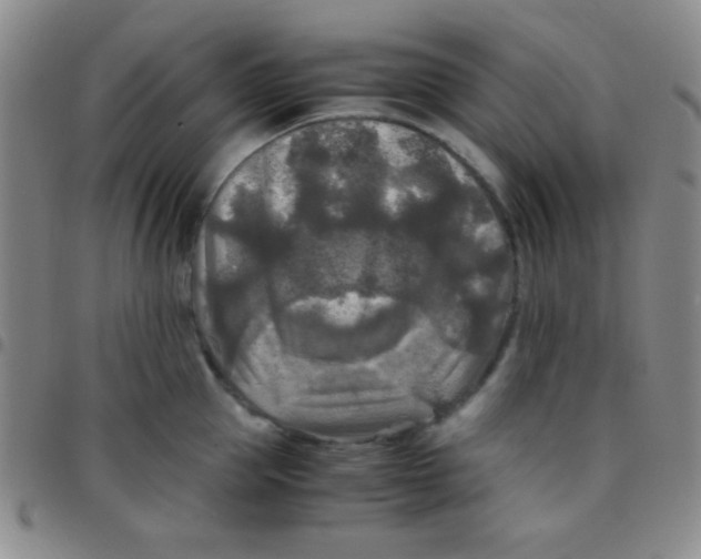 X0000097480953200803141932