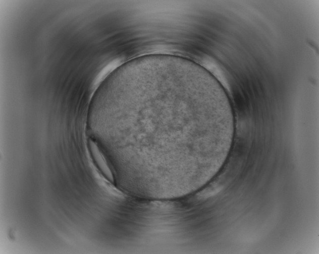 X0000097480954200803141932