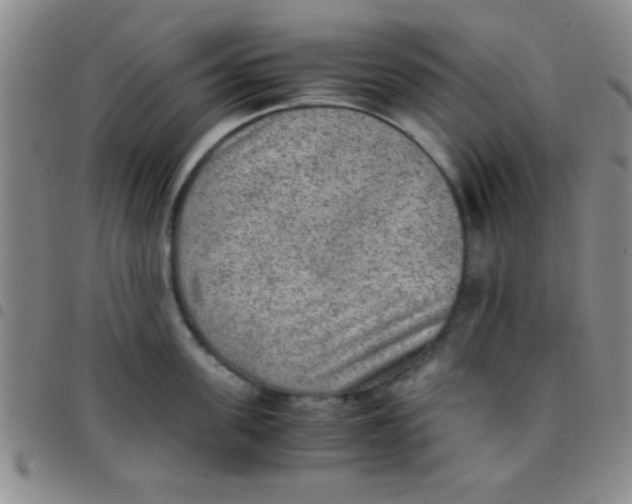 X0000097480955200803141932