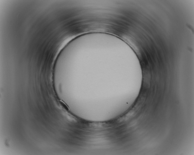 X0000097480956200803141932