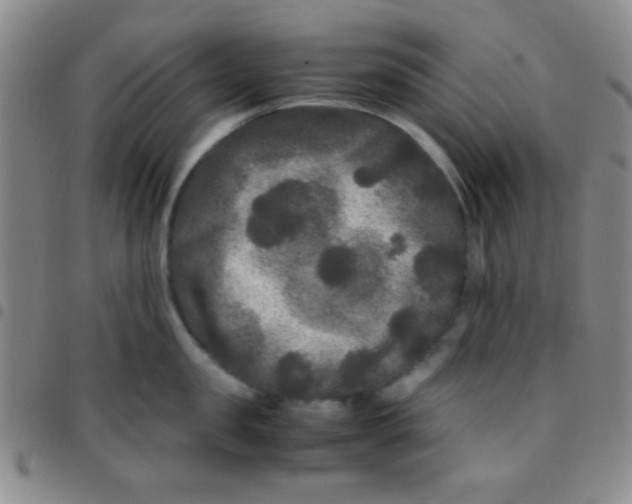 X0000097480957200803141932