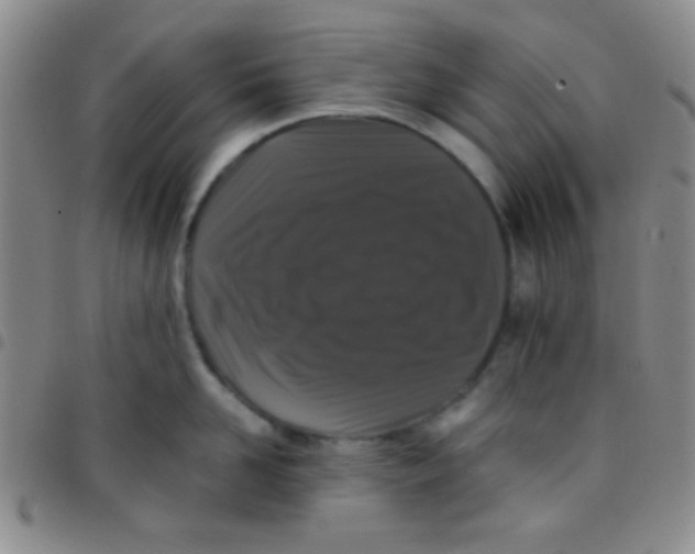 X0000097480958200803141932