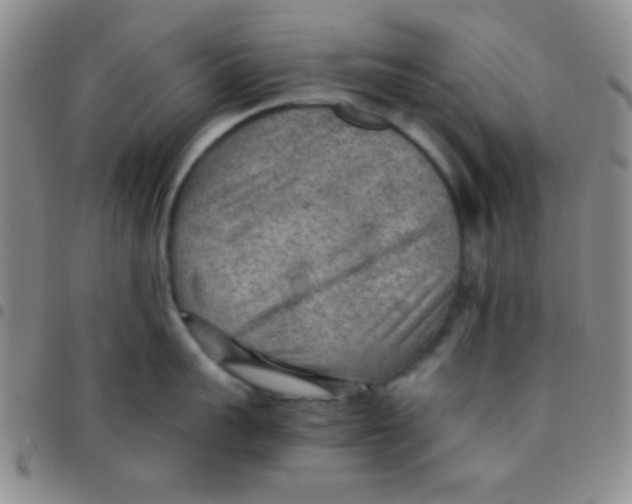 X0000097480959200803141932