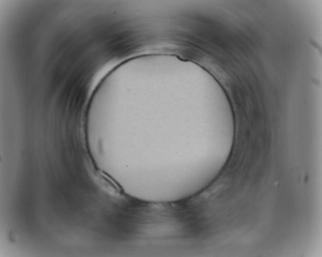 X0000097480960200803141932