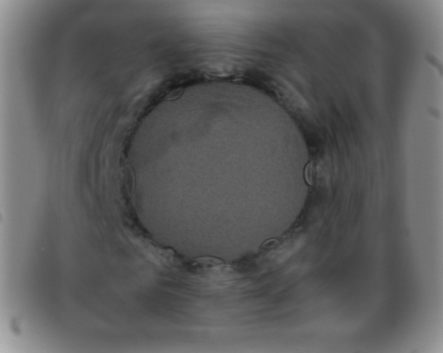 X0000097480961200803141931