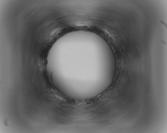 X0000097480965200803141931