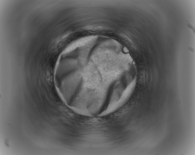 X0000097480966200803141931