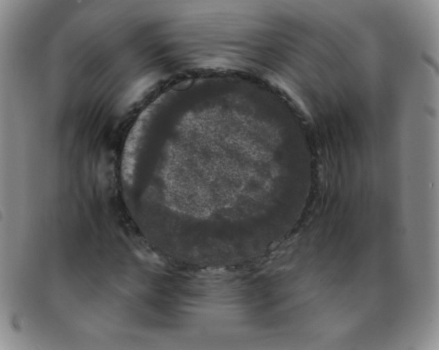 X0000097480968200803141931