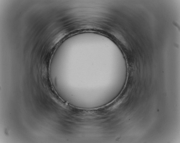 X0000097480969200803141931