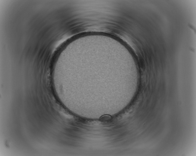 X0000097480971200803141931