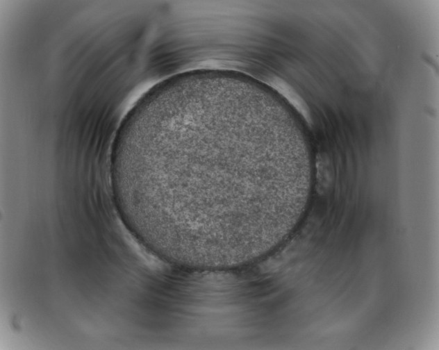 X0000097480972200803141931