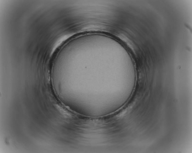 X0000097480973200803141931