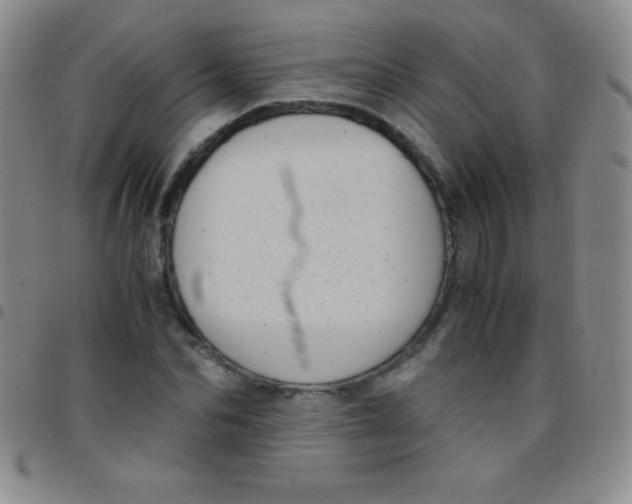 X0000097480974200803141931