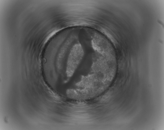 X0000097480975200803141931