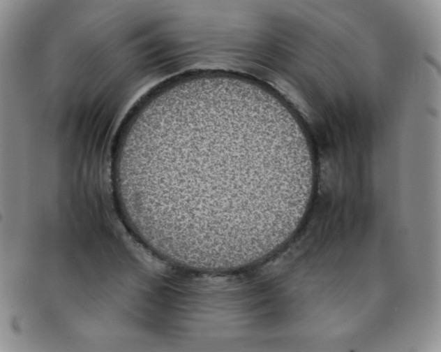 X0000097480976200803141931