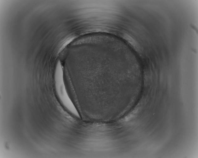 X0000097480977200803141931