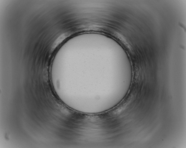 X0000097480978200803141931