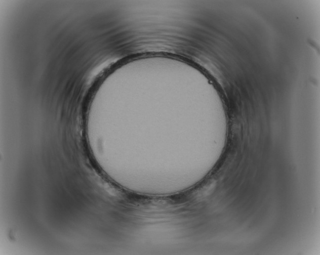 X0000097480979200803141931