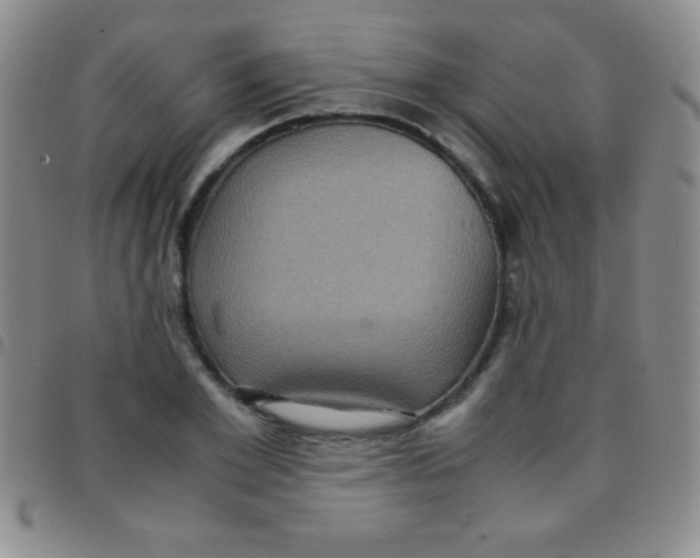 X0000097480981200803141931