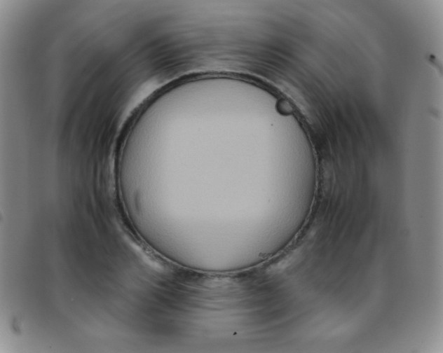 X0000097480982200803141931