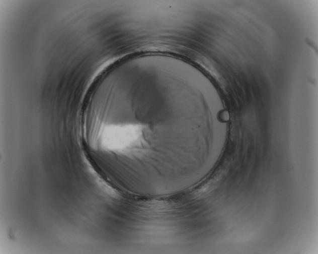 X0000097480984200803141931