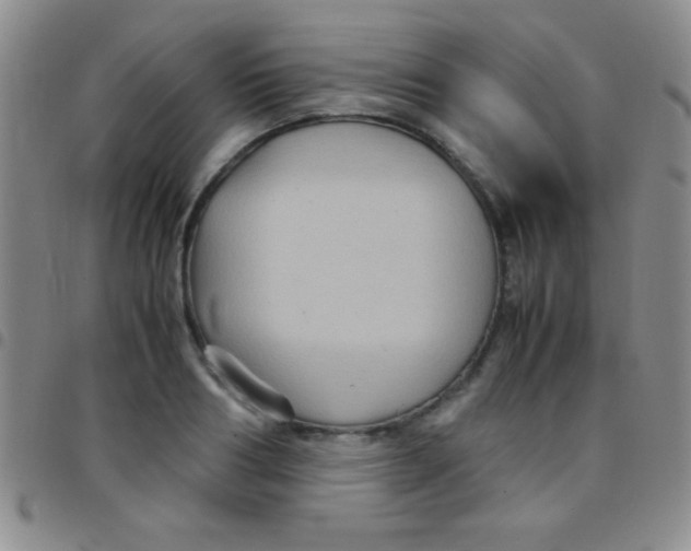 X0000097480986200803141931