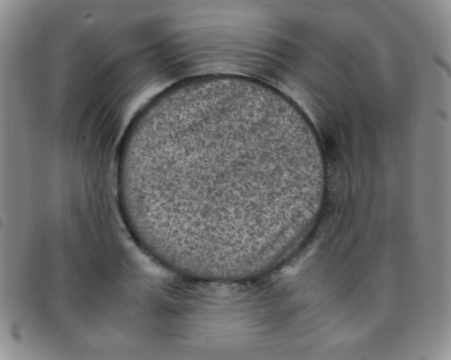 X0000097480987200803141931