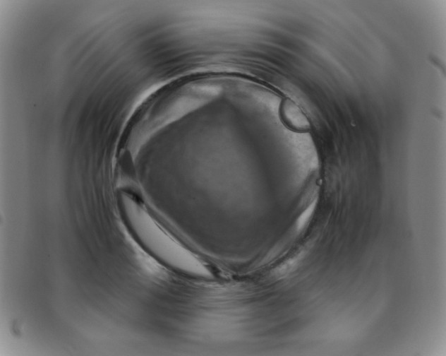 X0000097480988200803141931