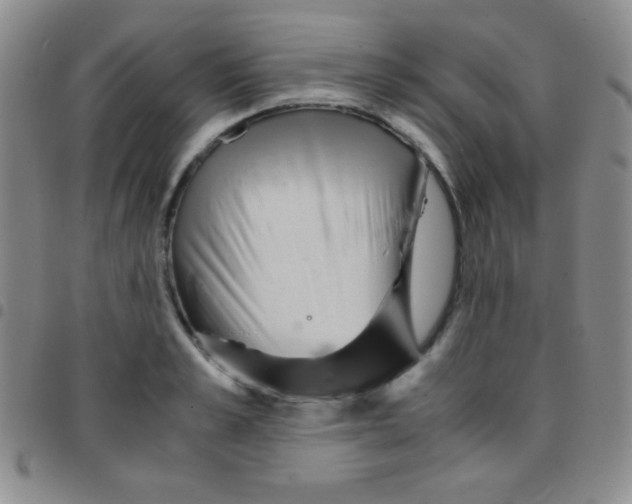 X0000097480989200803141931