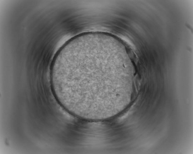 X0000097480990200803141931