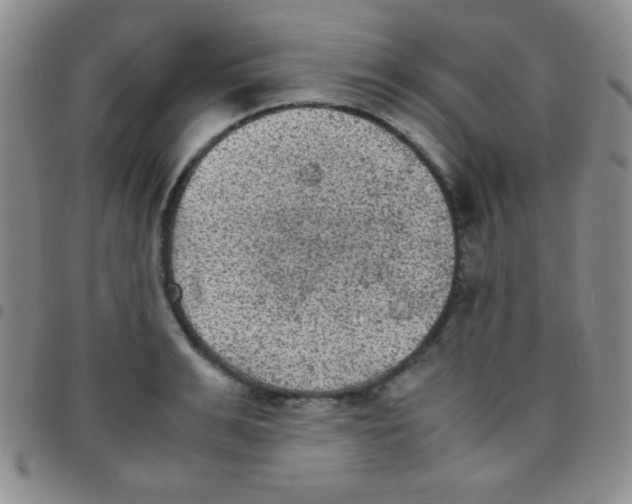 X0000097480991200803141931