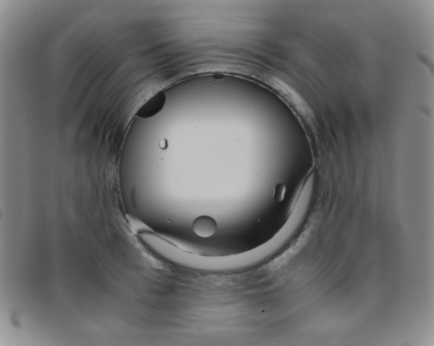 X0000097480993200803141931