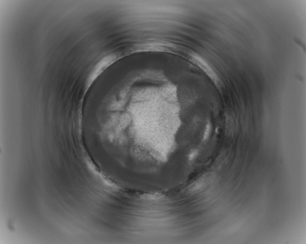 X0000097480994200803141931