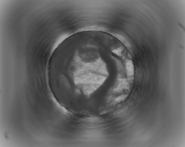 X0000097480998200803141931