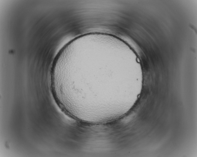 X0000097480999200803141931