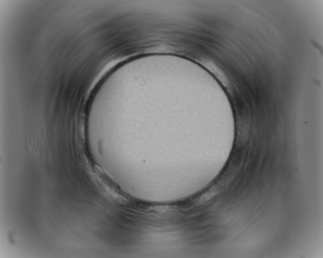 X0000097481000200803141931