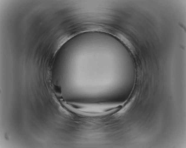 X0000097481001200803141931