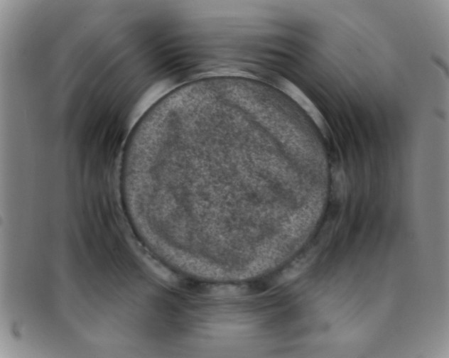 X0000097481002200803141931