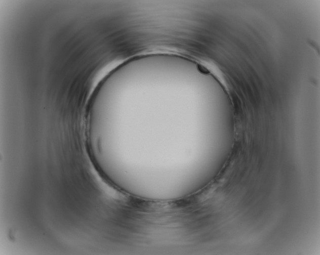 X0000097481003200803141931