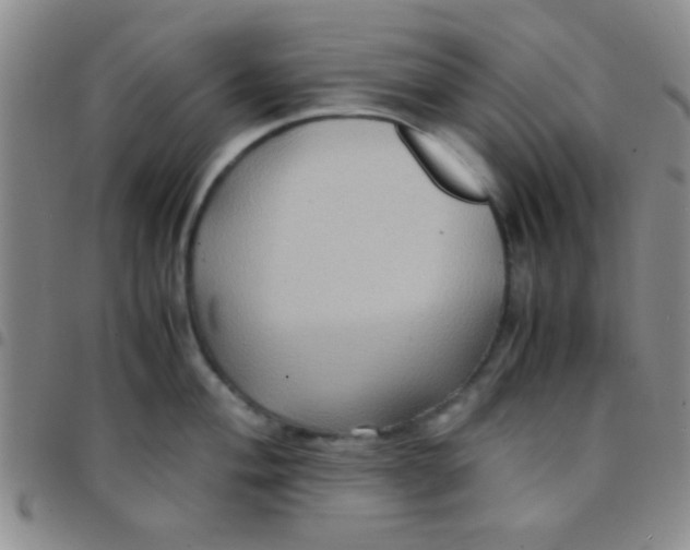 X0000097481004200803141931