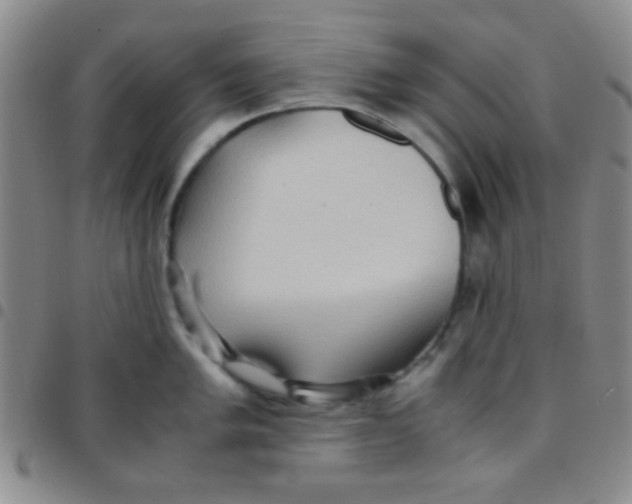 X0000097481005200803141931