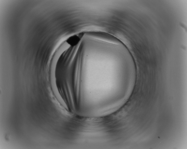 X0000097481008200803141930