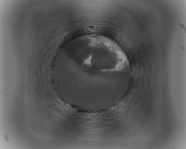 X0000097481009200803141930