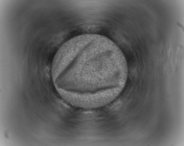 X0000097481010200803141930