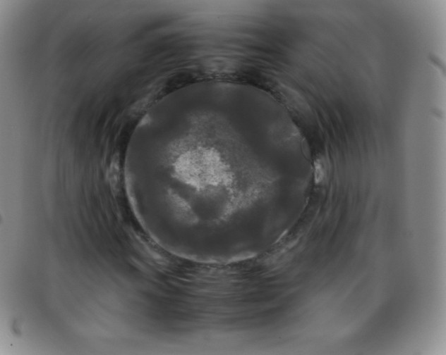 X0000097481011200803141930