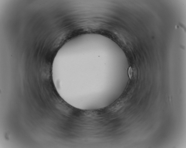 X0000097481012200803141930